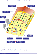 Schema 1 th